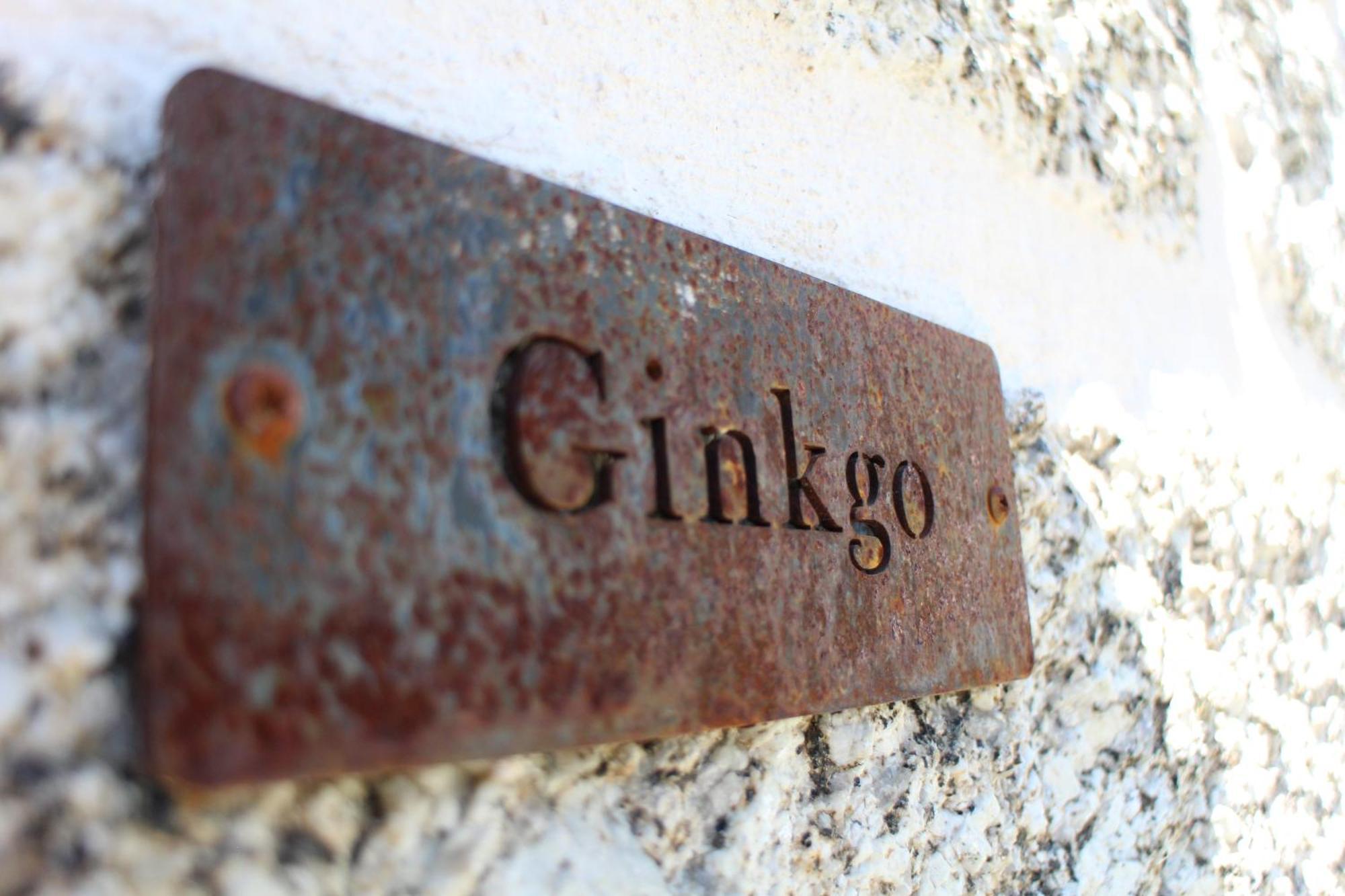 Quinta Da Mouta Βίλα Vieira do Minho Εξωτερικό φωτογραφία